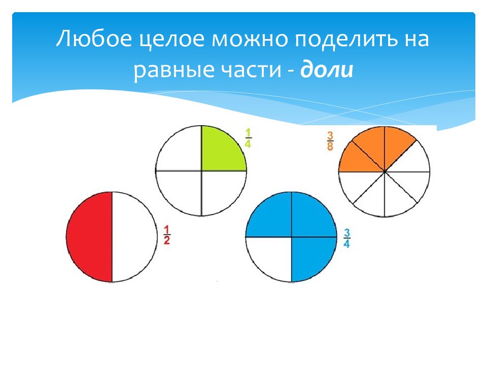 Какие части можно разделить