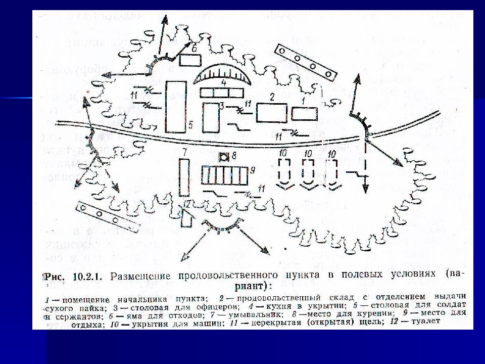 Организация б 1