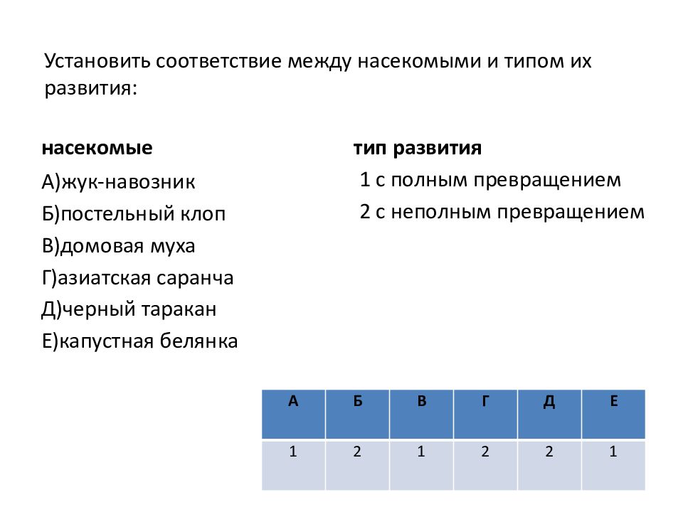 Установите соответствие презентация