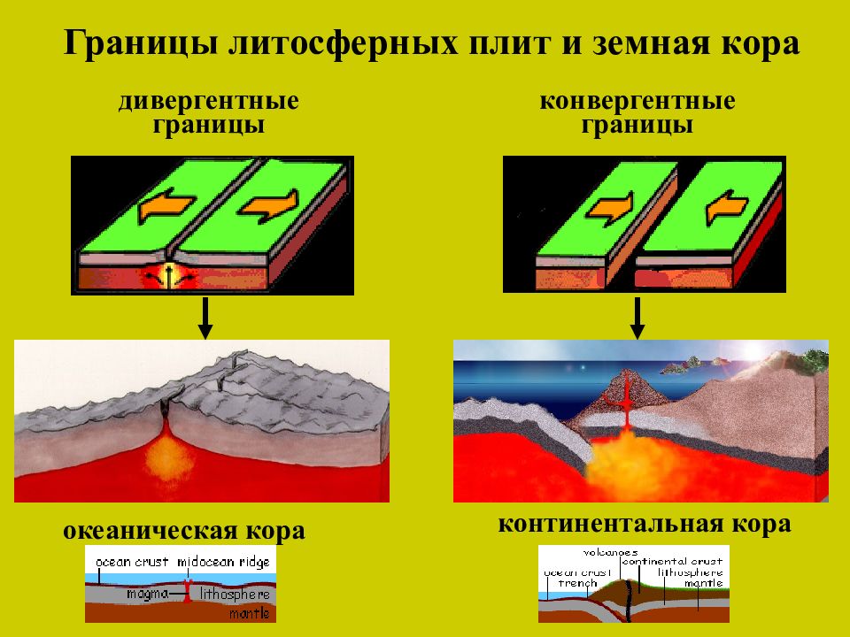 Столкновение плит с океанической и континентальной земной корой рисунок