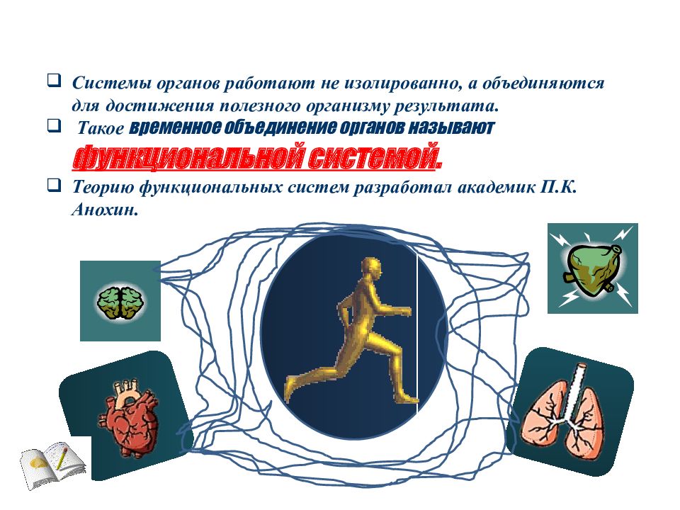 Органы объединения. Функциональная система временное объединение органов. Эмблемы нормальной физиологии. Герб кафедры физиологии нормальной.