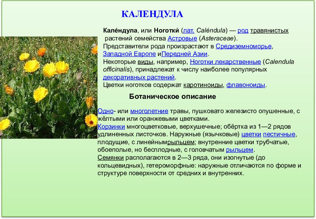 Растения оренбургской области фото и описание