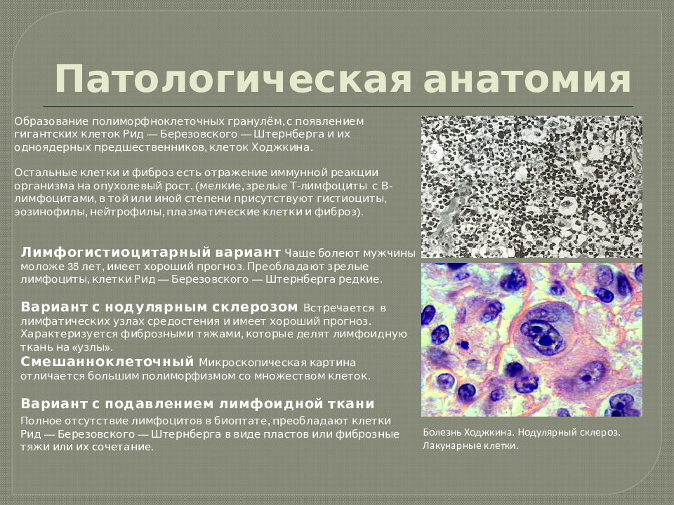 Вич патологическая анатомия презентация