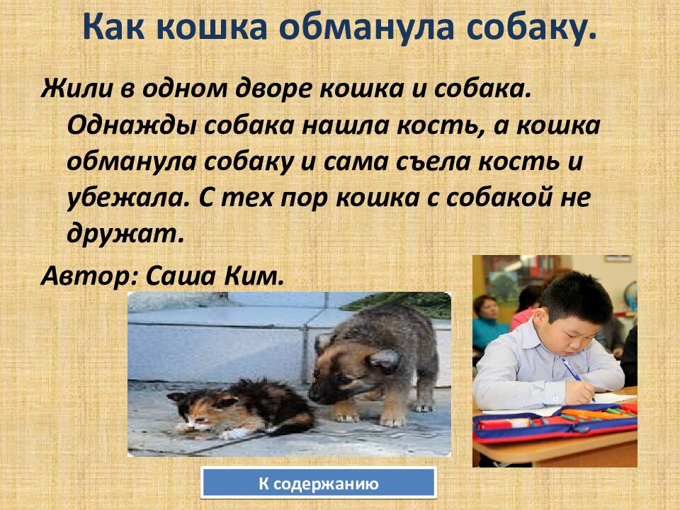 Как кошка обманула собаку.