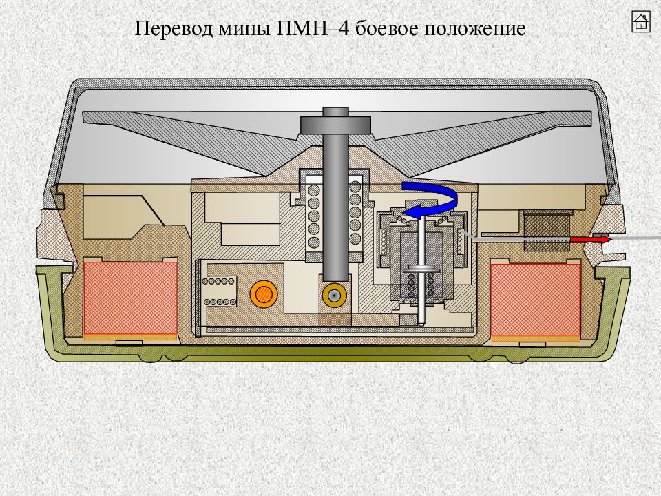 Пмн