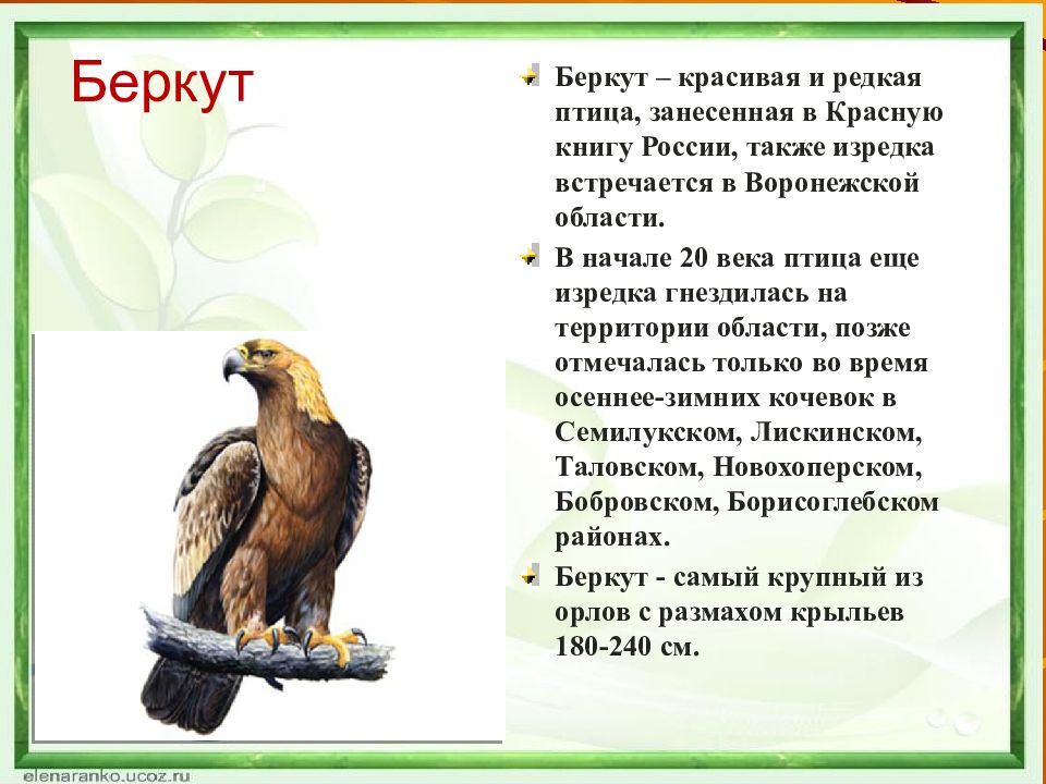 Как сделать проект по окружающему миру 4 класс на тему красная книга нашего края