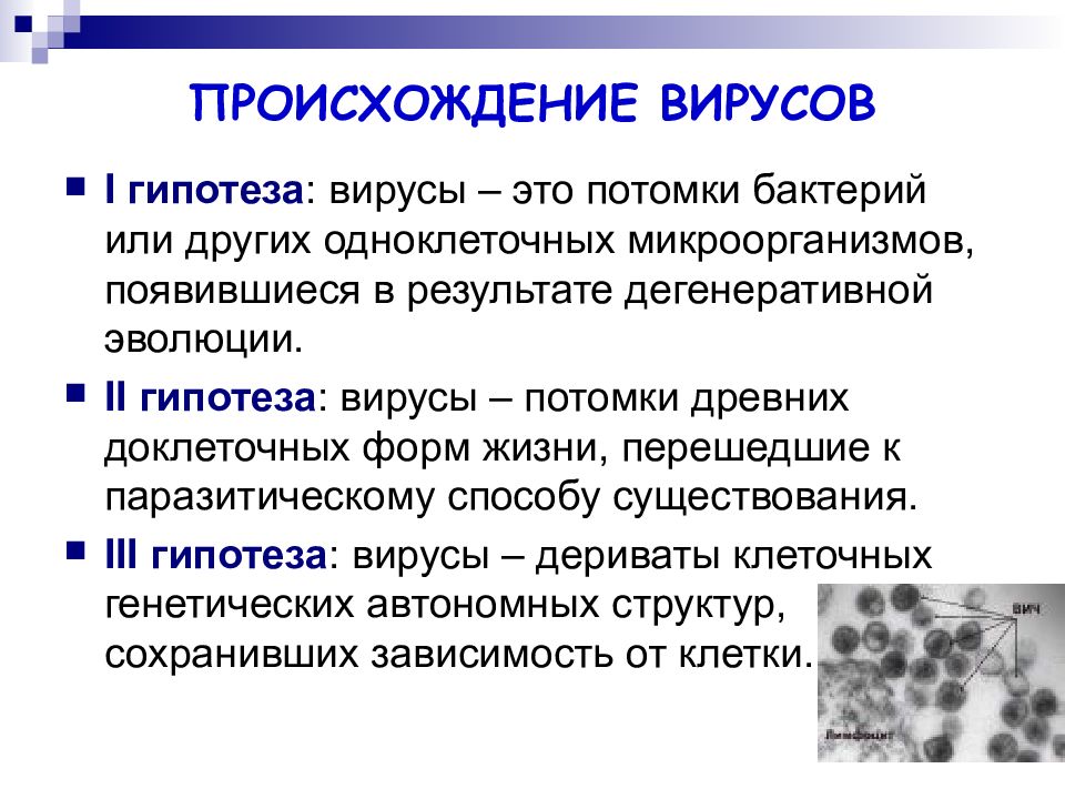 Вирусов в природе и жизни человека. Происхождение вирусов. Гипотезы происхождения вирусов. Теории происхождения вирусов. Вирусы Эволюция происхождение.