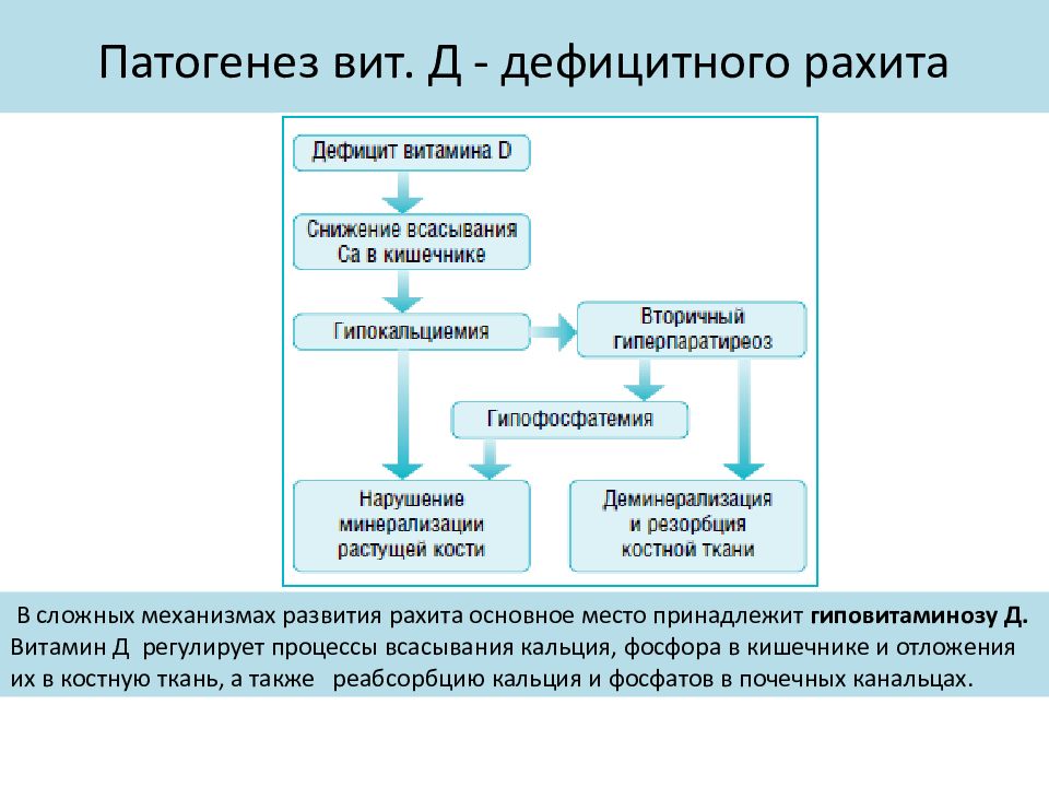 Механизм развития рахита схема