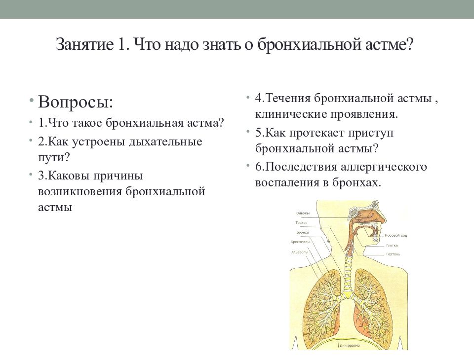 Составьте план обучения в астма школе