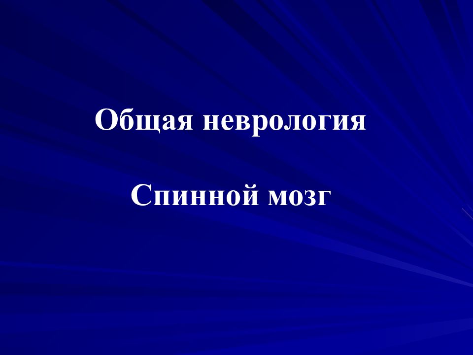 Общая неврология Спинной мозг