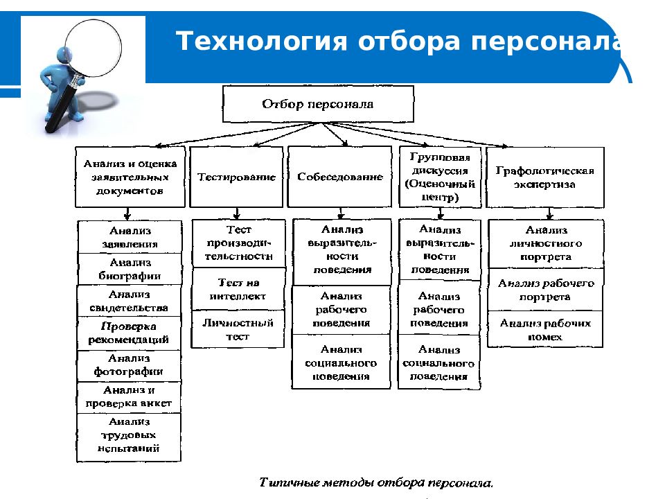 Внутренний отбор кадров. Технологии отбора персонала. Коэффициент отбора персонала. Факторы отбора персонала. Формы отбора персонала.