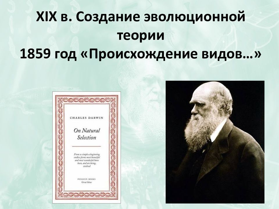 XIX в. Создание эволюционной теории 1859 год «Происхождение видов…»