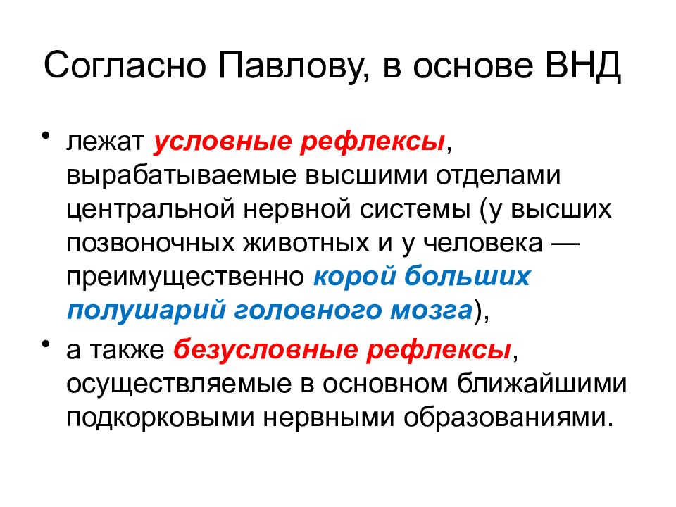 Высший отдел. Высшая нервная деятельность презентация.