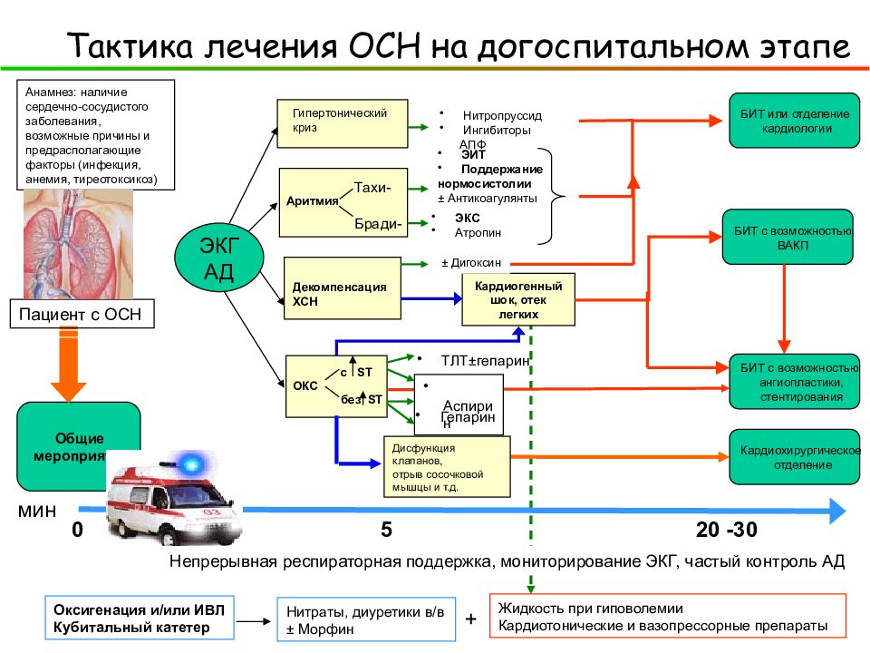 Острая сердечная недостаточность презентация терапия