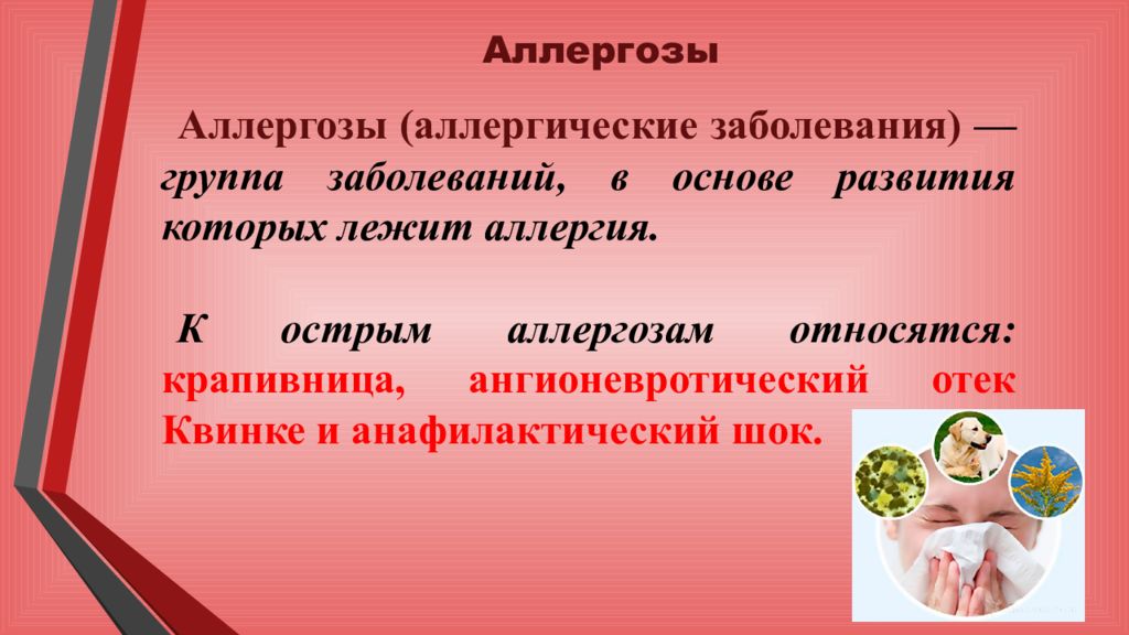 Аллергозы. Сестринский процесс при острых аллергических заболеваниях. Презентация аллергозы.