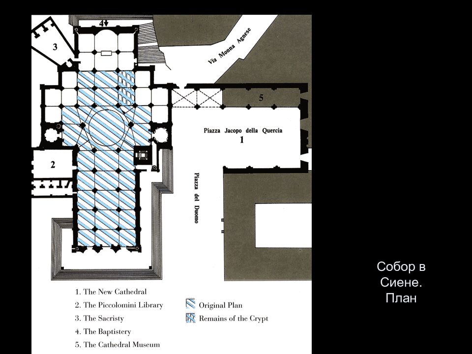 Сиенский собор план