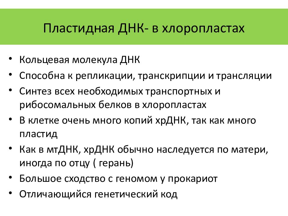 Генетические вопросы. Пластидная ДНК. Пластидная РНК. Характеристика пластидной ДНК. ДНК хлоропластов.