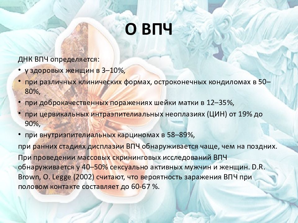 Лечение впч шейки матки у женщин препараты схема лечения