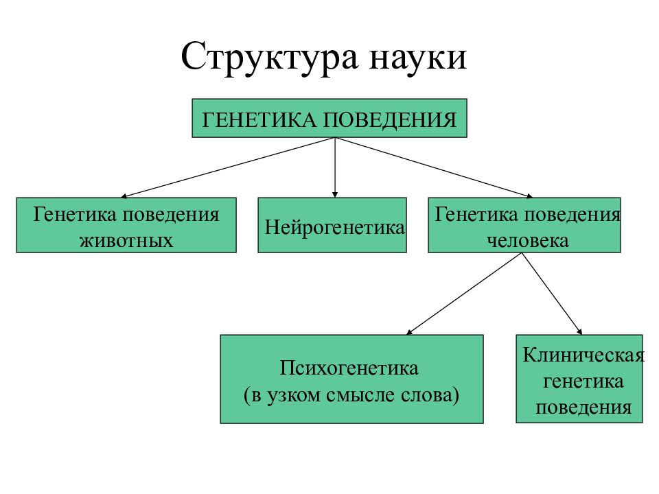 Структура науки. Генетика поведения. Генетика поведения животных. Генетика поведения человека.