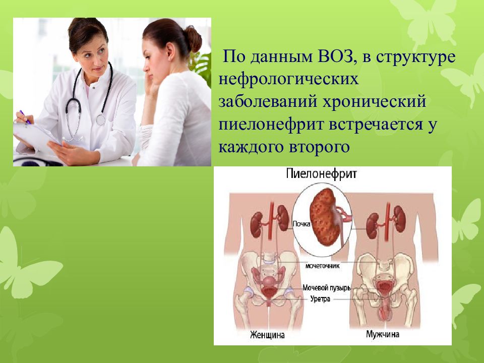 Презентация на тему пиелонефрит