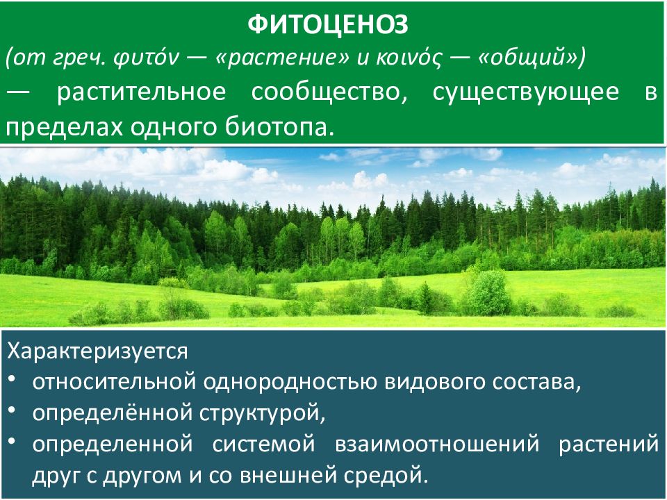 Растительные сообщества 6 класс биология конспект и презентация