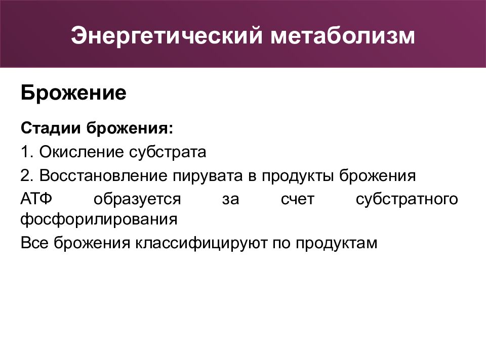 Стадий ферментаций. Стадии брожения. Этапы брожения. Окислительный этап брожения. Стадии ферментации.