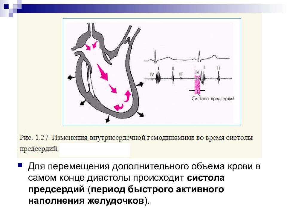 Нарушение внутрисердечной гемодинамики. Систола предсердий предсердия.