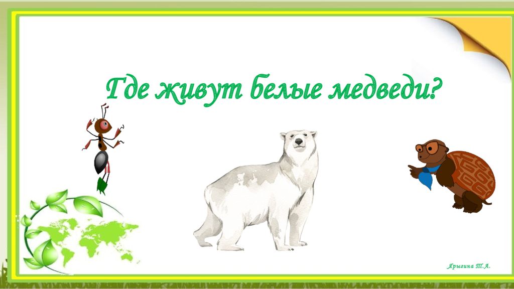 Ярыгина Т.А. Где живут белые медведи ?