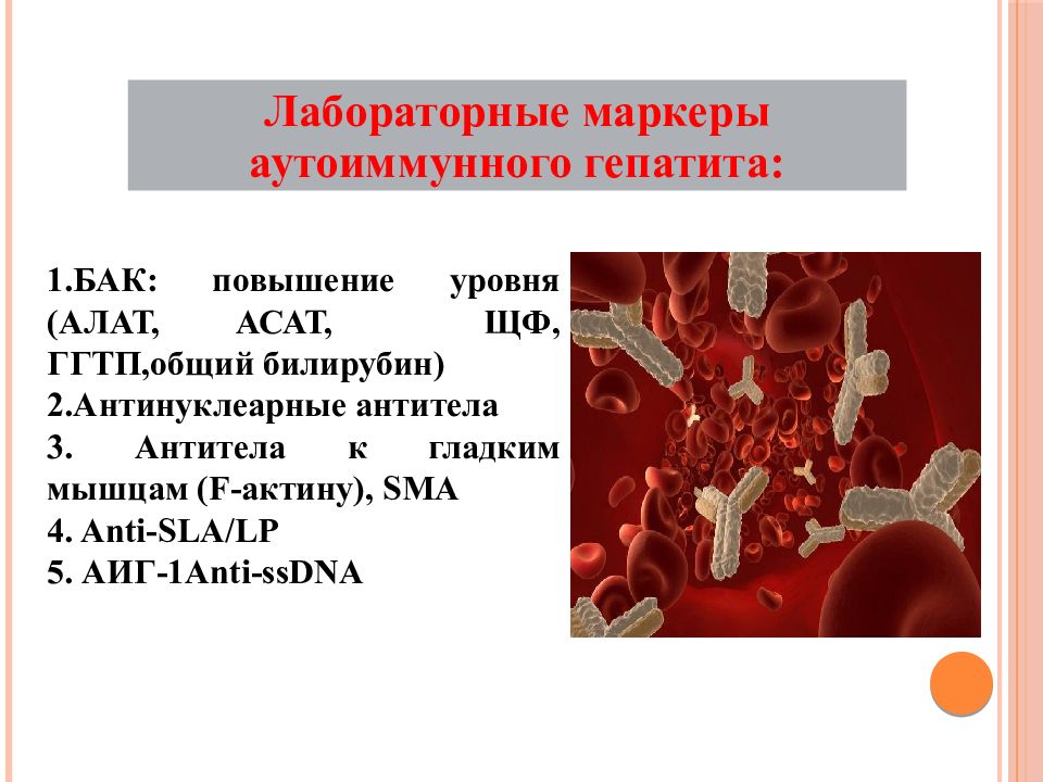 Фосфатаза 1. Антитела к гладкой мускулатуре. Антитела при аутоиммунном гепатите. Sma антитела. Гладкомышечные антитела.