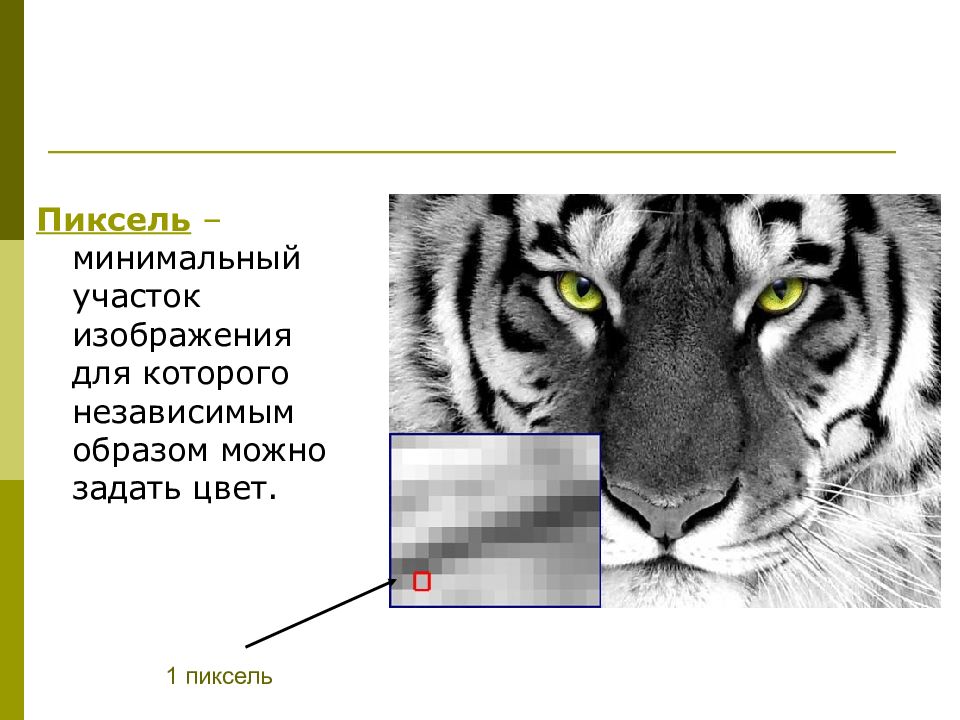 Какую информацию содержит пиксель цифрового растрового изображения