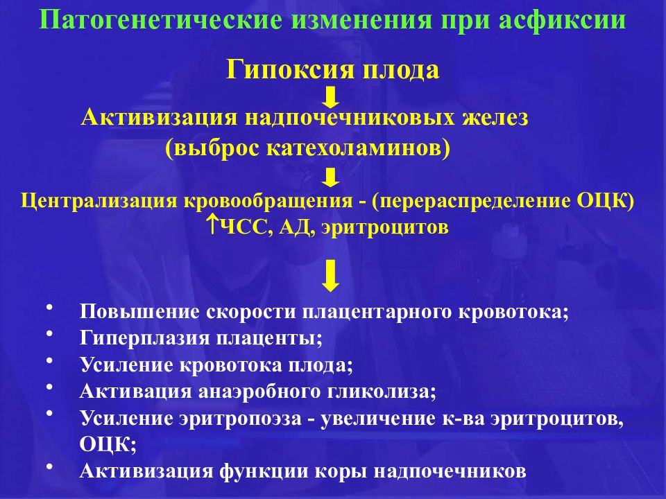 Гипоксия плода презентация