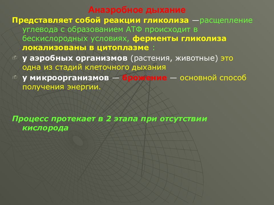 Аэробное и анаэробное дыхание. Анаэробное дыхание растений. Анаэробная фаза дыхания. Аэробная фаза дыхания растений. Анаэробный Тип дыхания у растений.