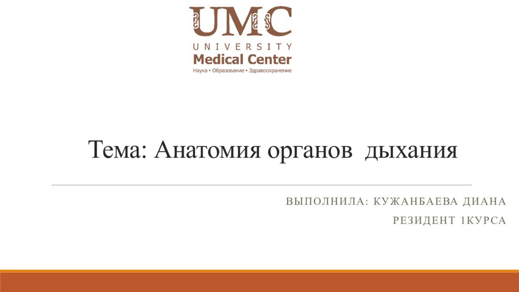 Тема: Анатомия органов дыхания