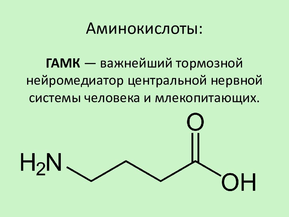 Аминокислоты необходимые человеку. ГАМК нейромедиатор. Тормозные нейромедиаторы. Аминокислоты для нейромедиаторов. Аминокислоты презентация.