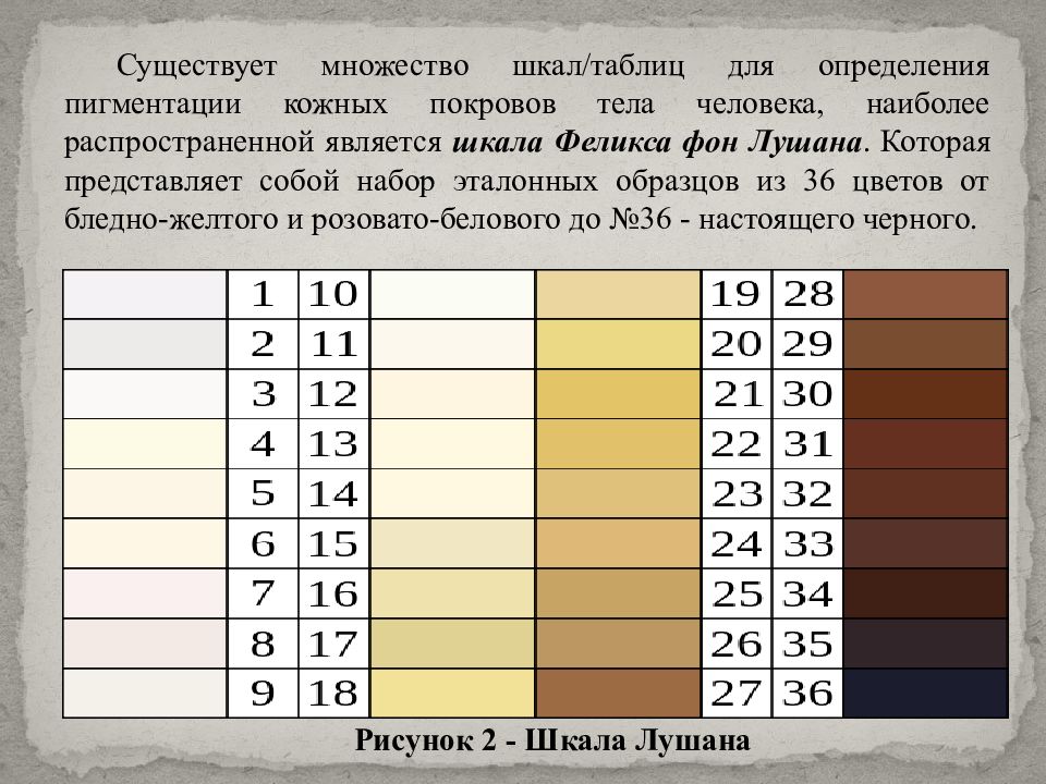 Определить тон. Шкала Лушана. Шкала цвета кожи. Шкала для кожи Лушана. Шкала по цвету кожи.