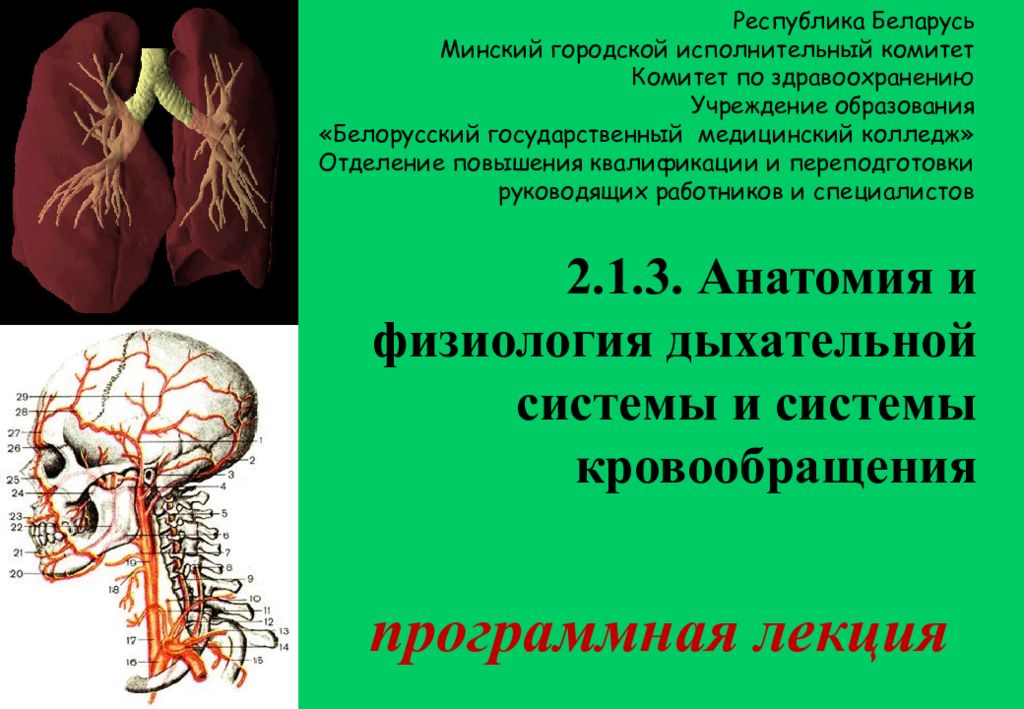 2.1.3. Анатомия и физиология дыхательной системы и системы