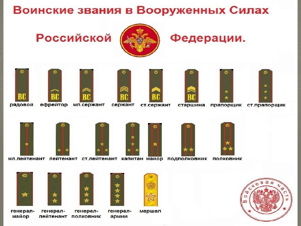 Фото погонов военнослужащих и звания
