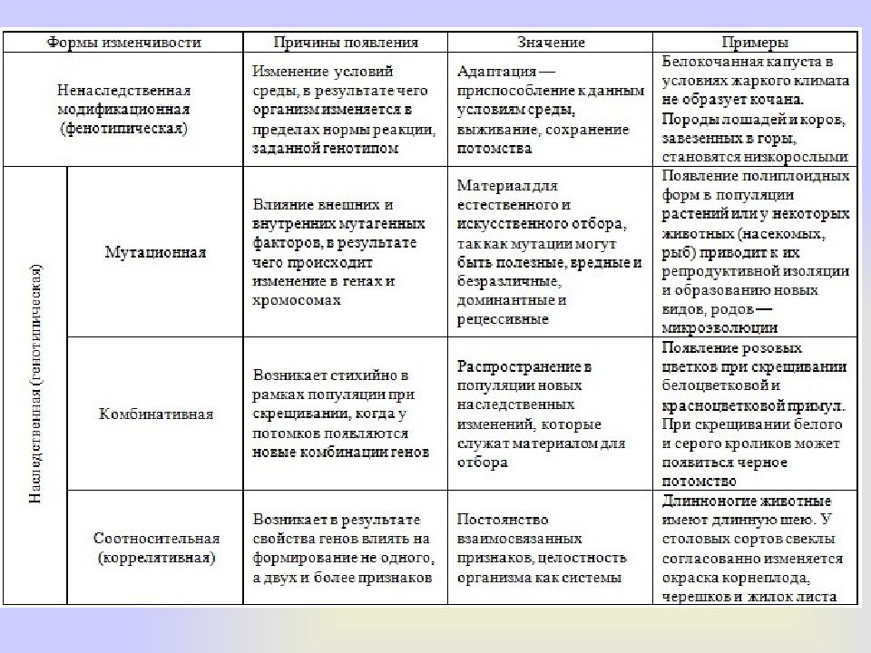 Модификационная изменчивость моего организма под действием диеты проект