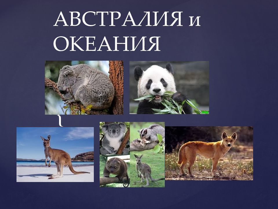 АВСТРАЛИЯ и ОКЕАНИЯ