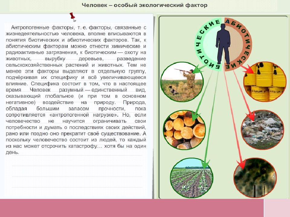 Экологические факторы 9 класс биология тест. Влияние окружающей среды на живой организм. Влияние экологических факторов на организмы. Биология 5 кл экологические факторы. Влияние экологических факторов на развитие растений.