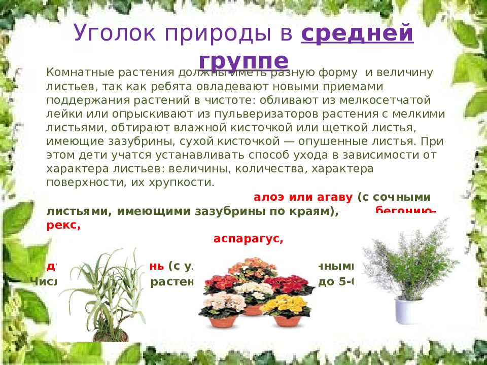 Анализ уголка природы. Описание любимого уголка природы. Организация уголка природы в разно возрастных групах. Критерии оценивания уголка природы в группах ДОУ. Анализ работы в разных группах в уголках природы.