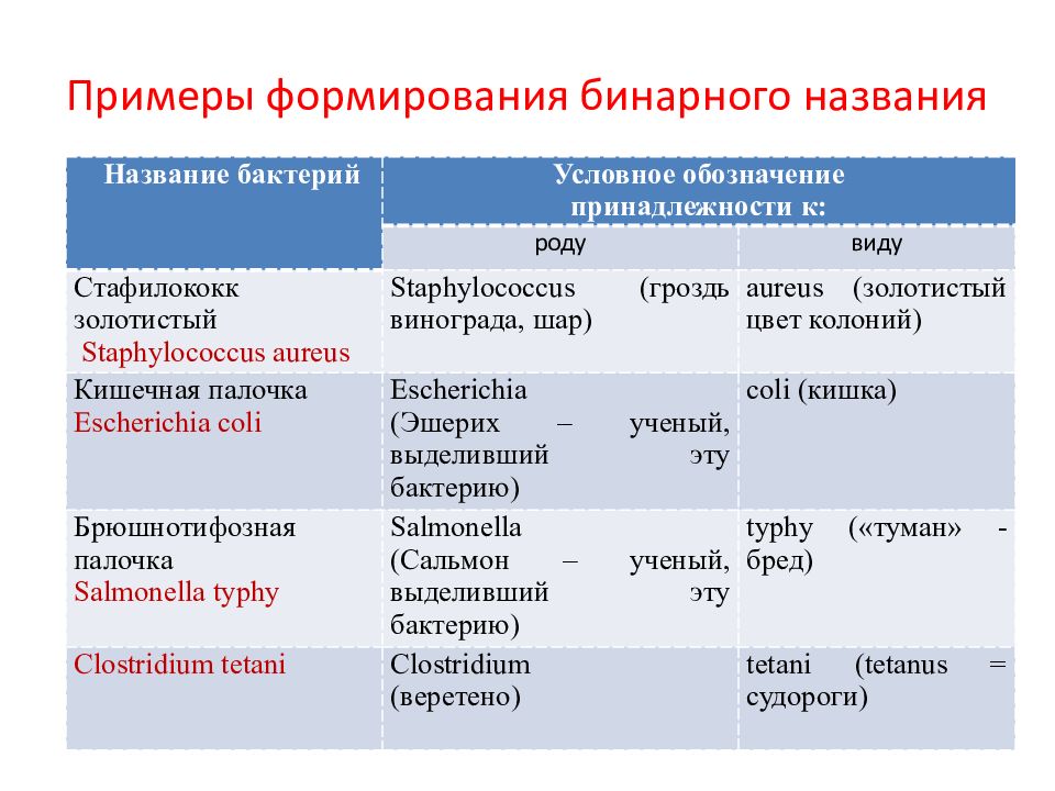 Примеры формирования