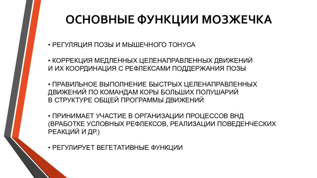 Мозжечок функции. Функции мозжечка. Основные функции мозжечк. Основная функция мозжечка. Какие основные функции выполняет мозжечок.