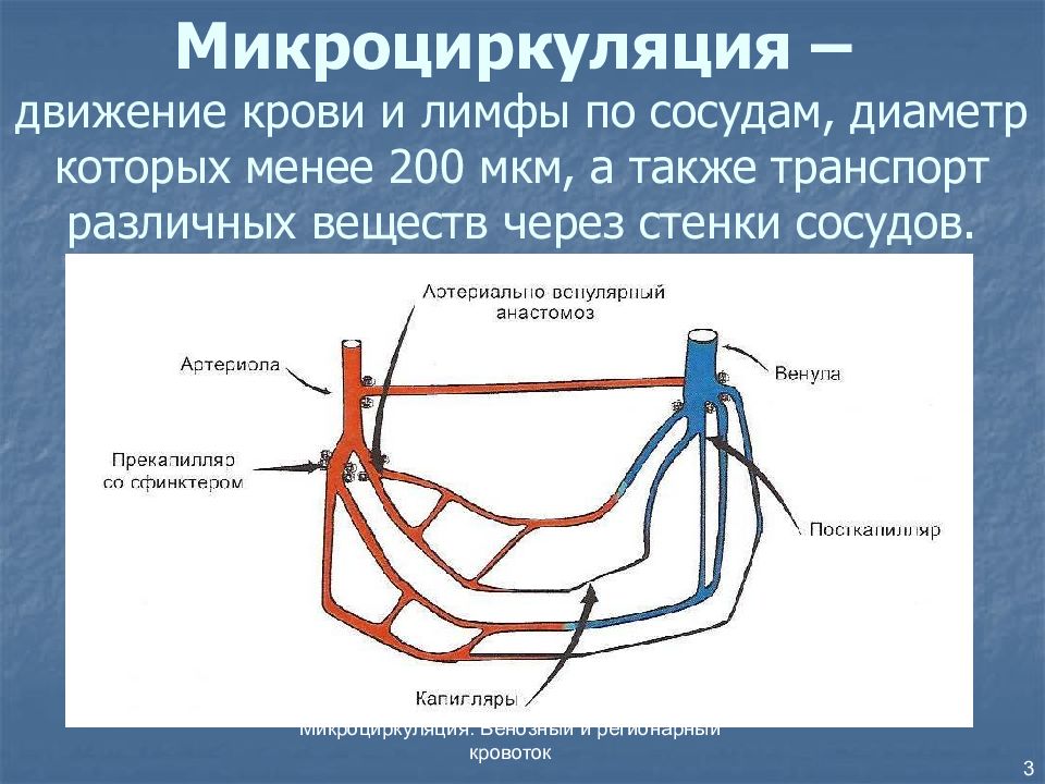 Движение сосудов. Движение крови и лимфы по сосудам. Передвижение крови по сосудам. Движение крови по сосудам организма человека. Микроциркуляция крови.