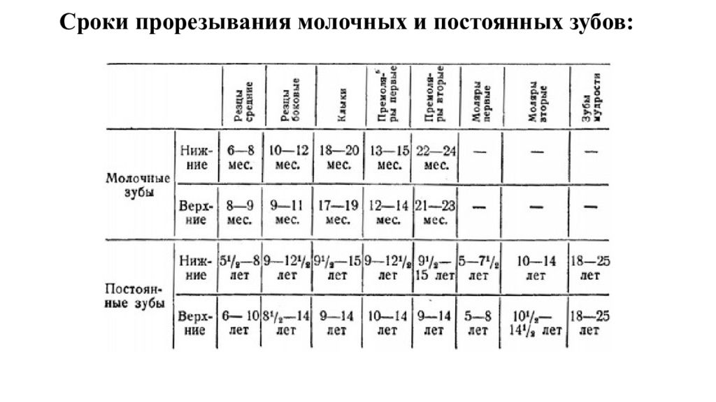 Сроки прорезывания. Сроки прорезывания зубов молочные и постоянные. Зубы сроки прорезывания постоянных зубов. Молочные зубы сроки прорезывания таблица. Молочные постоянные зубы сроки прорезывания.