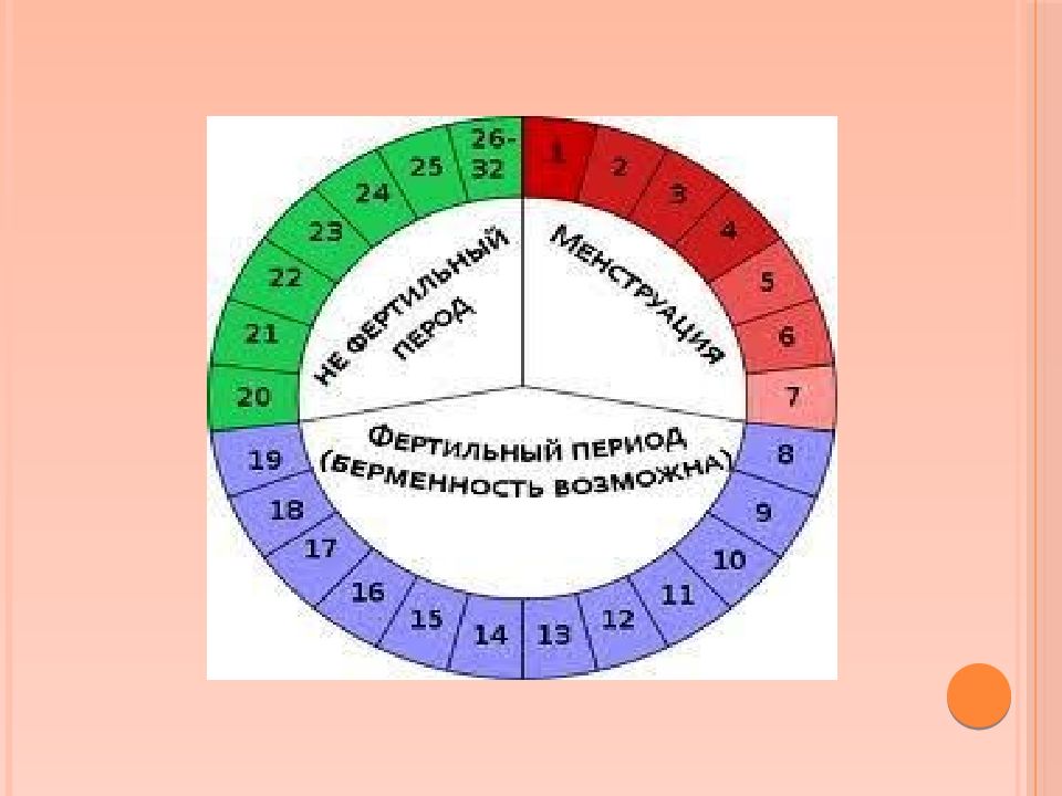 Метод для мужчин. Календарный метод контрацепции. Календарный метод зачатия. Виды контрацепции для мужчин. Календарный метод Огино-Кнауса.