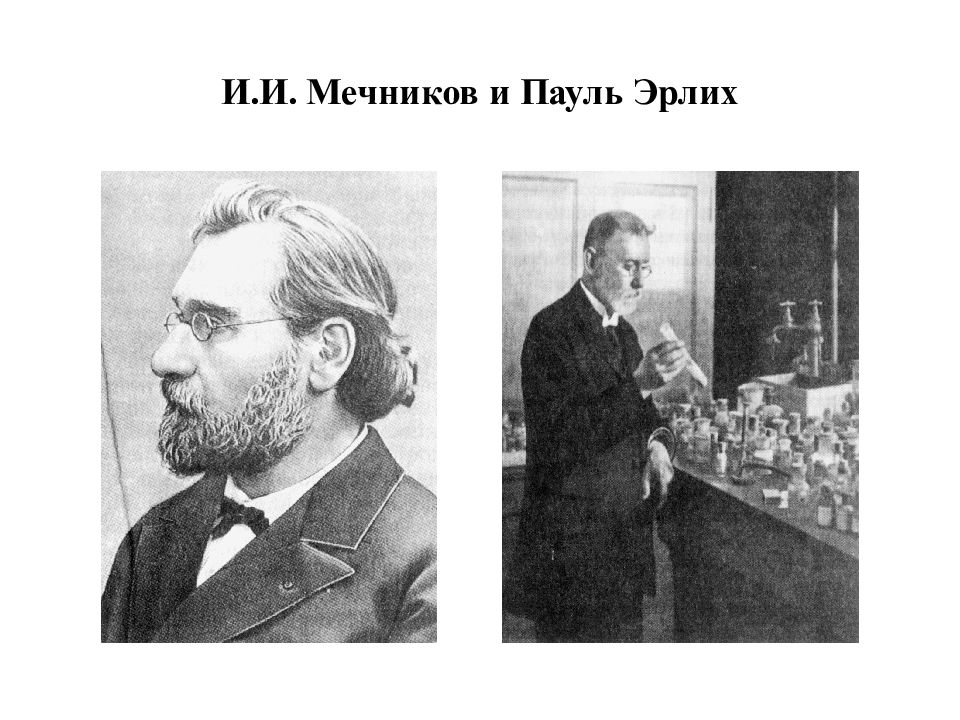 Мечников и эрлих. Пауль эрлих и мечников. мечников и эрлих 1908. илья ильич мечников и пауль эрлих. мечников эрлих нобель.