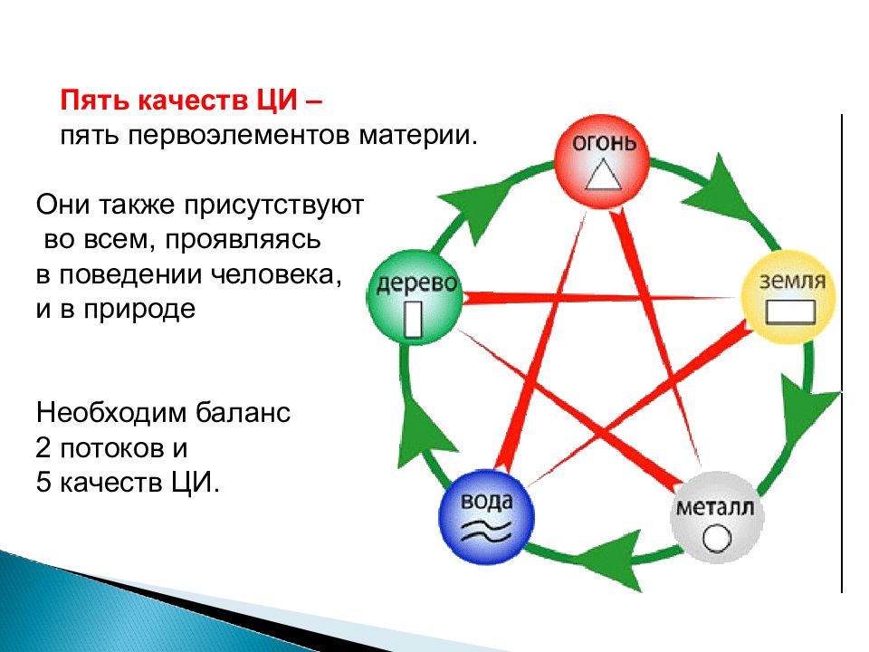 5 качеств дикого