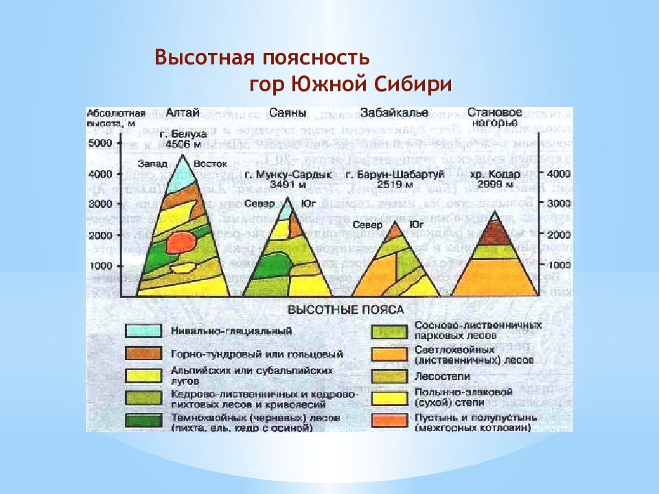 Схема высотных поясов в горах