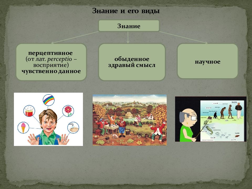 Иллюстрация видов знаний. Знание и его виды. Перцептивное знание в философии это. Повседневное познание. Особенности перцептивного знания философия.